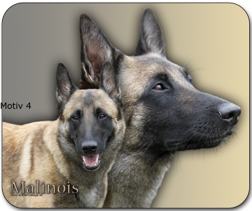 Mousepad Belgischer Schäferhund (Malinois) #4